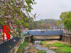 -红山村