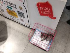 -帕帕拉兹宠物(亚洲旗舰店)