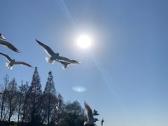 -渤公岛生态公园