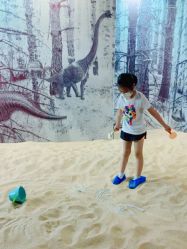 -恐龙探索乐园(磁器口店)