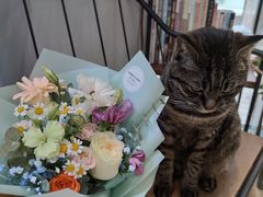 -ChaKo Flora ·茶子花艺 (市北店)