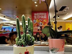 -海底捞火锅(旭辉MALL店)