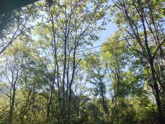 -青峰峡国家森林公园