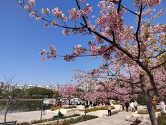 -新江湾城公园