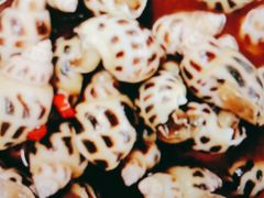 -海鲜e族(马王堆店)