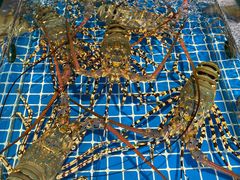 -三亚火车头万人海鲜广场