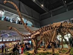 -自贡恐龙博物馆