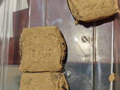 驴打滚-尹三豆汁(天坛店)