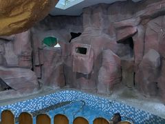 -兴芮温泉度假区