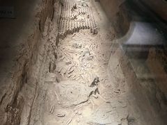 -汉景帝阳陵博物院
