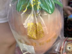 -舍予茶(桂林路店)