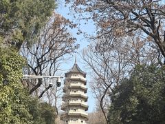 -灵谷景区