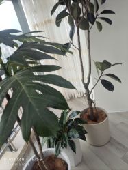 -HEYAN荷妍专业脱毛连锁机构