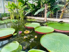 -国家植物园南园