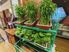 -天和晟新京菜.水煮鱼.湘土菜(国展店)