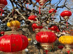 -北京石景山游乐园