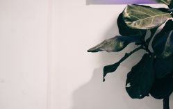 -AFA Hair studio·女士发型设计