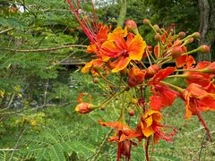 -亚坤(远东广场店)