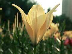 -长春公园(普阳街道)