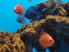 -海合安武汉极地海洋公园