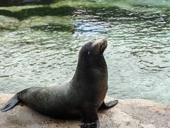 -珠海长隆海洋王国