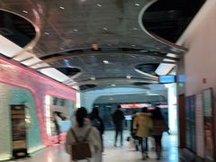 -东方体育中心(地铁站)