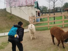 -盈香心动乐园