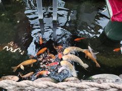 -上海大自然野生昆虫馆(东方明珠·爬宠昆虫探索中心)