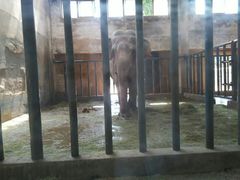 -石家庄市动物园