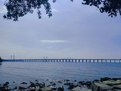-宝安西湾红树林湿地公园