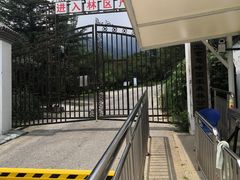 -北京鹫峰国家森林公园