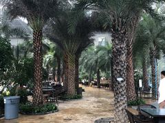 -渔岛海洋度假区