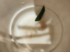 -季季红火锅(长沙步行街店)