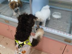 -FAELING PETS美天灵宠物(合生汇店)