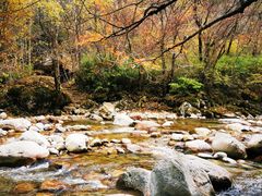 -青峰峡国家森林公园