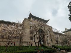 -武汉大学-樱园