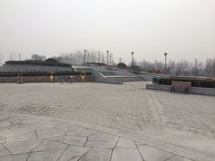 -东营·森林乐园
