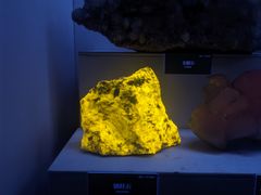 -湖南省地质博物馆