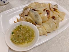 白切鸡-汇兴源餐馆(小北路店)