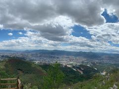 -长虫山生态公园风景林