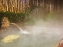 -宜春明月山维景国际温泉度假酒店