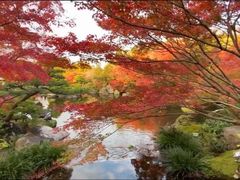 -有栖山 清光院 清水寺