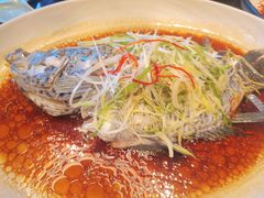 葱丝鼓油蒸鲜活珍珠斑-环球港凯悦 · 享悦中餐厅