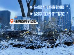 -西海子公园
