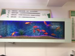 -姬颜氏美丽汇皮肤管理