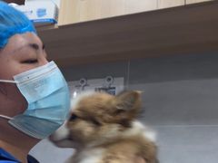 -宠福鑫康馨动物医院·骨科·眼科