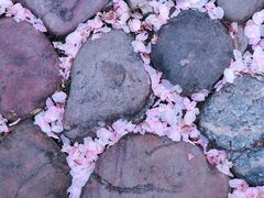 -白塘生态植物园