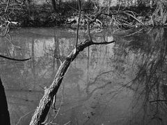 -贡湖湾湿地公园