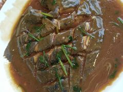 多宝鱼-海岛渔村大酒店(云霄路店)