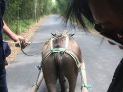 -杭州双溪漂流景区